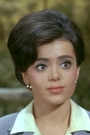 Susan Silo Film ve Dizileri