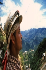 Marmato Türkçe Dublaj