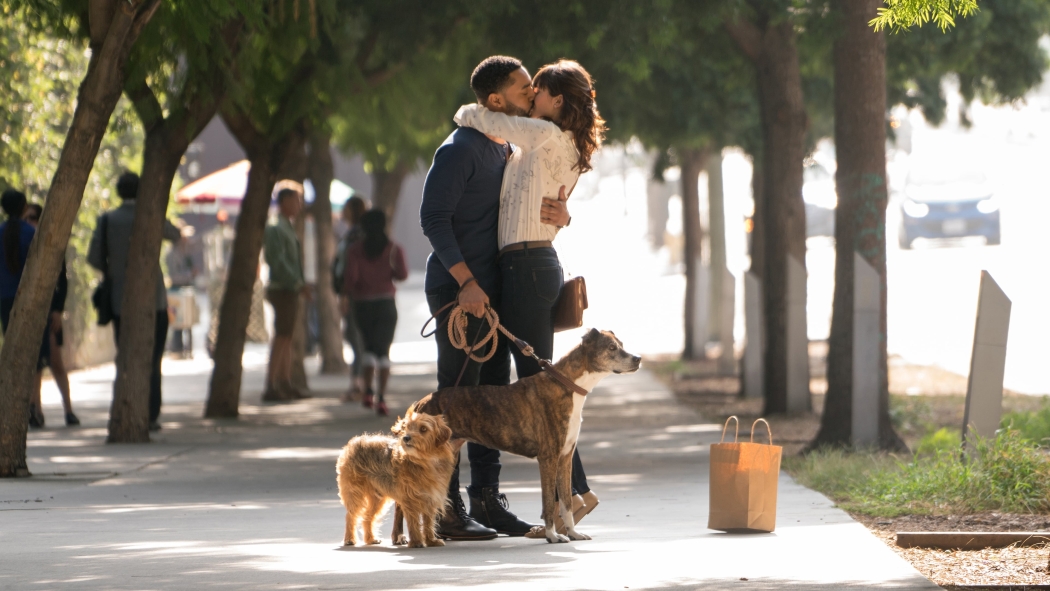 Dog Days izle